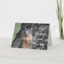 Search for funny squirrel cards Thinking of you