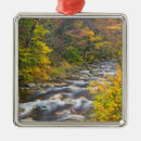 Search for vermont ornaments Landscape