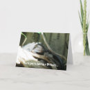 Search for funny iguana birthday cards Humor