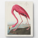 Search for 8x10 postcards Antique