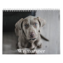 Search for weimaraner gifts Winter