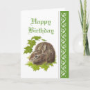 Search for bunny birthday cards Bird