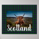 Search for scottish highland cow decor Tartan