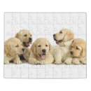 Search for labrador puzzles Pet