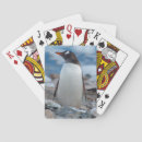 Search for penguins playing cards Antarctica