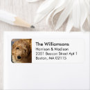 Search for photo return address labels Picture