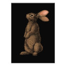 Search for bunny posters Woodland