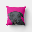 Search for pitbull pillows Staffy
