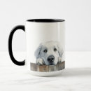 Search for great pyrenees mugs Animal