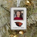 Search for beaver ornaments Grad