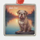 Search for english bulldog ornaments Pets