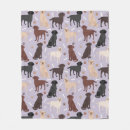 Search for chocolate lab blankets Dogs