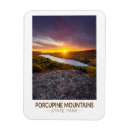 Search for porcupine gifts Souvenir