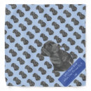 Search for photo dog bandanas For pets