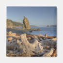 Search for olympic national park magnets Nobody