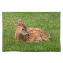 Search for alaska placemats Nature