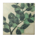 Search for graphic tiles Botanical