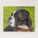 Search for boxer dog puzzles Animal