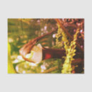 Search for large decoupage tissue paper Nature