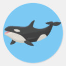 Search for orca whale Cartoon