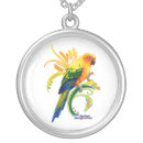 Search for sun conure Conures