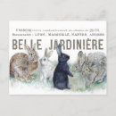 Search for vintage easter postcards Rabbit