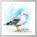 Search for seagull bird posters art