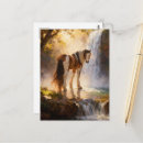 Search for gypsy vanner horse Beautiful