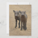 Search for africa thank you cards Cute