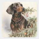Search for christmas dachshund stickers Dogs