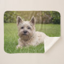 Search for west highland terrier blankets Cute