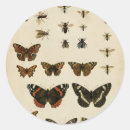 Search for caterpillar stickers Insects