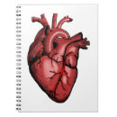 Search for medical notebooks Anatomy
