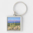 Search for california keychains Cactus