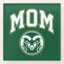 Search for colorado coasters Fort collins