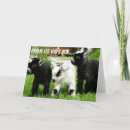 Search for aunt birthday cards Niece