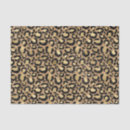 Search for black and gold tissue paper Safari
