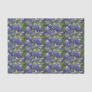 Search for bluebonnet crafts party Paper