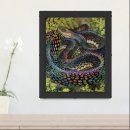 Search for herpetologist gifts Snake