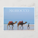 Search for morocco postcards Camels