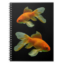 Search for fancy notebooks Fish
