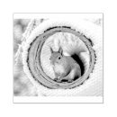 Search for squirrel rubber stamps Animal