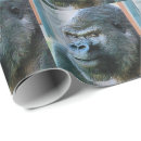 Search for gorilla wrapping paper Animal