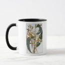 Search for pod mugs Fruit