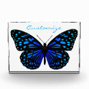 Search for butterfly awards Blue