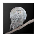 Search for owl tiles Moon