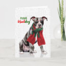 Search for pitbull christmas cards Pets