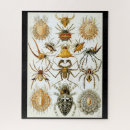 Search for science puzzles Black