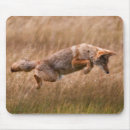 Search for national park mousepads Wyoming