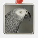 Search for parrot ornaments Grey